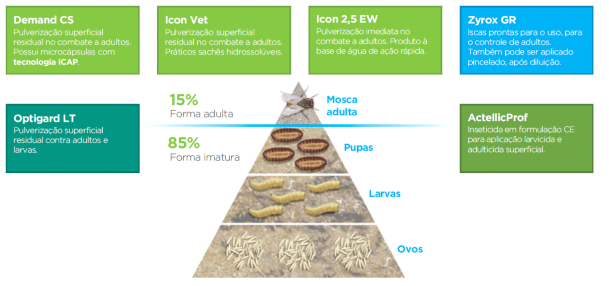 Infográfico 
