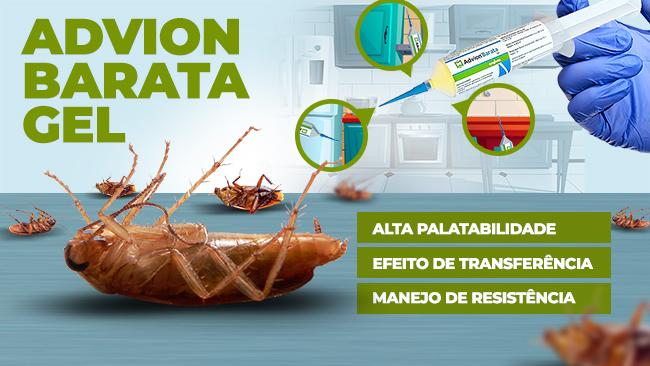 Infográfico
