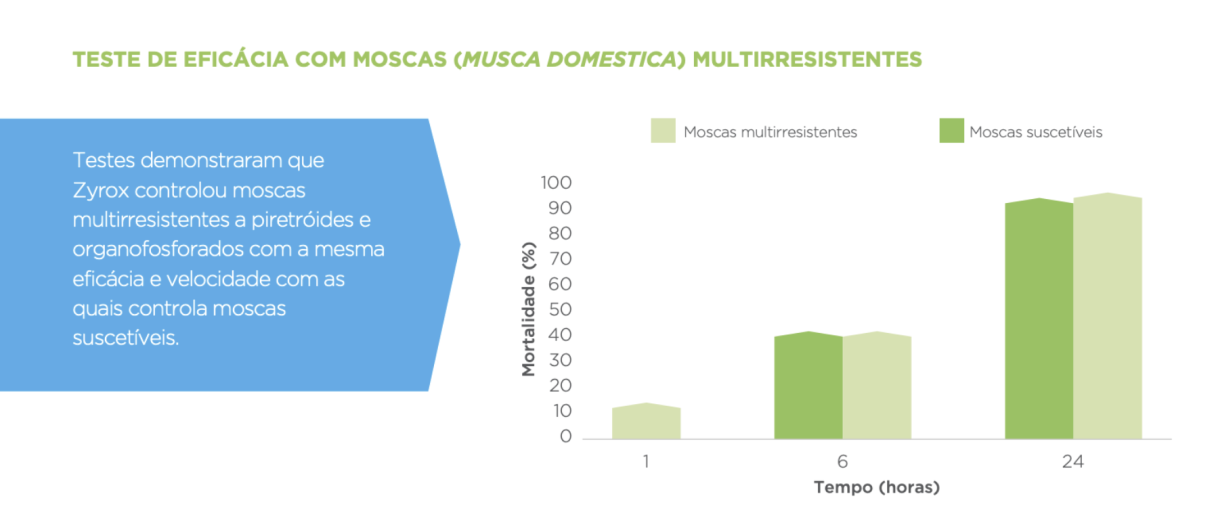 isca para moscas 